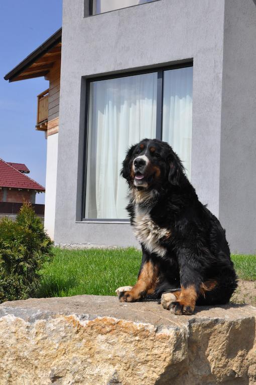 Villa Swiss Săcele Exterior foto