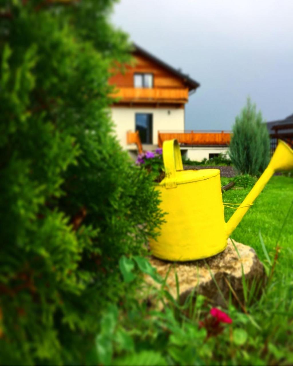 Villa Swiss Săcele Exterior foto